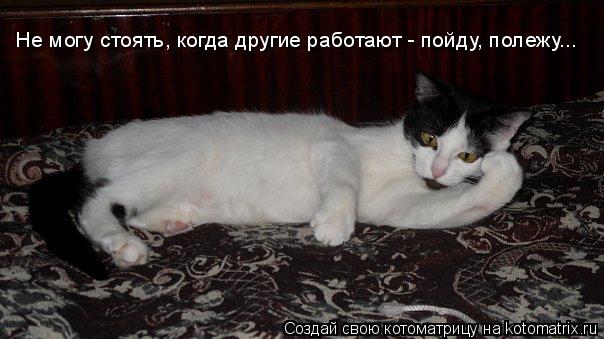 Котоматрица: Не могу стоять, когда другие работают - пойду, полежу...
