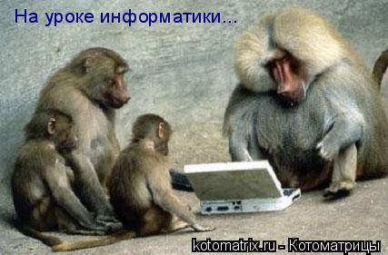 Котоматрица: На уроке информатики...