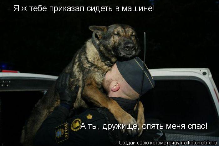 Котоматрица: - Я ж тебе приказал сидеть в машине! А ты, дружище, опять меня спас!