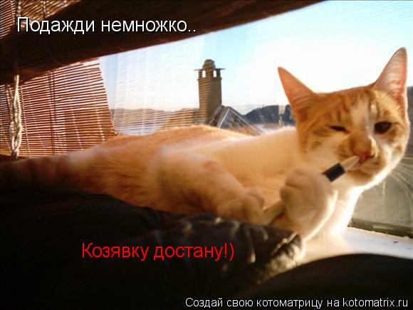 Котоматрица: Подажди немножко.. Козявку достану!)