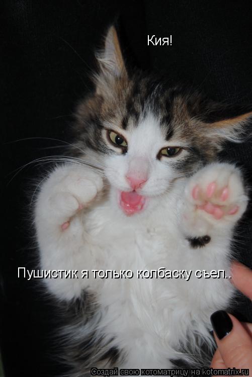 Котоматрица: Кия! Пушистик я только колбаску съел..