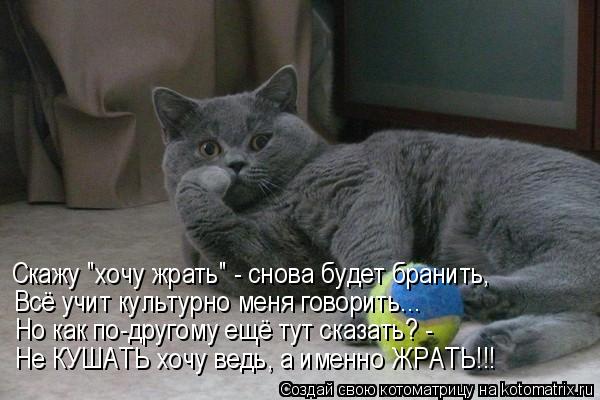 Скажу "хочу жрать" - снова будет бранить, Всё учит культурно меня говорить... Но как по-другому ещё т... Котоматрица: Скажу "хочу жрать" - снова будет бранить, Всё учит культурно меня говорить... Но как по-другому ещё тут сказать? - Не КУШАТЬ хочу ведь, а именно