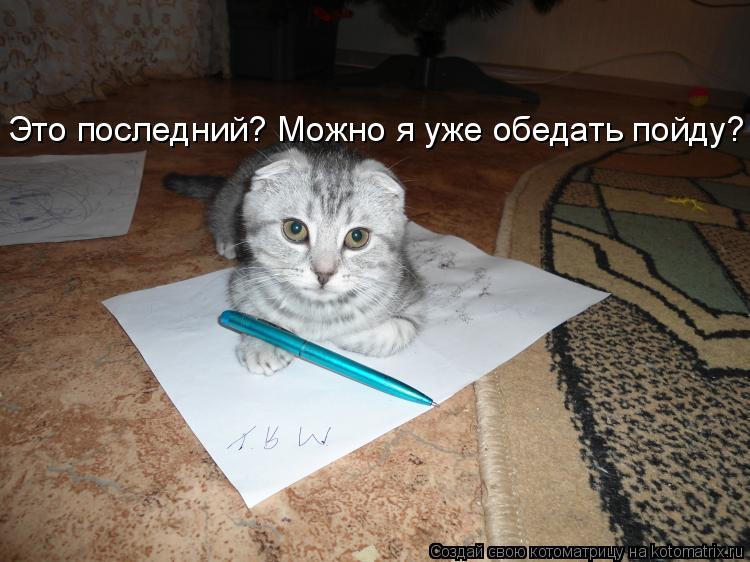 Это последний? Можно я уже обедать пойду?... Котоматрица: Это последний? Можно я уже обедать пойду?