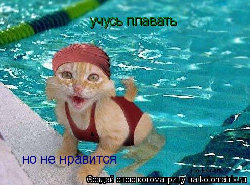 учусь плавать но не нравится... Котоматрица: учусь плавать но не нравится