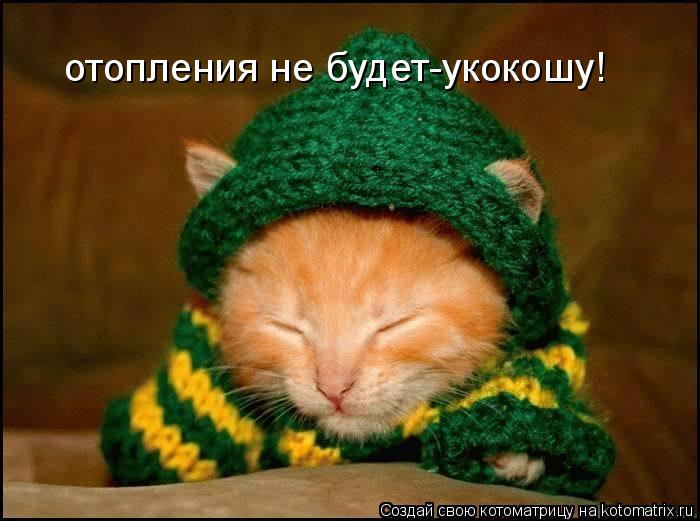 отопления не будет-укокошу!... Котоматрица: отопления не будет-укокошу!