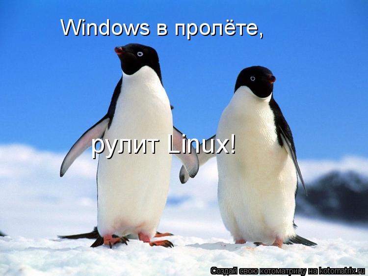 Windows в пролёте, рулит Linux!... Котоматрица: Windows в пролёте, рулит Linux!