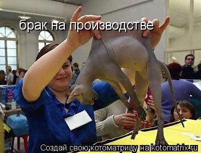 брак на производстве... Котоматрица: брак на производстве