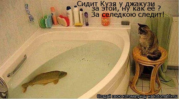 Котоматрица: Сидит Кузя у джакузи за этой, ну как её ? За селедкою следит!