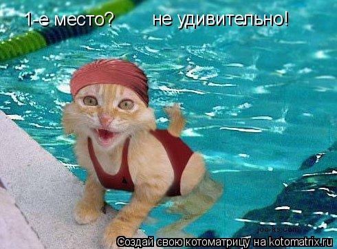 Котоматрица: 1-е место? не удивительно!