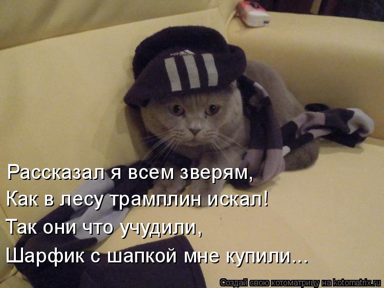 Котоматрица: Рассказал я всем зверям, Как в лесу трамплин искал! Так они что учудили, Шарфик с шапкой мне купили...