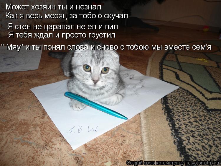 Котоматрица: Может хозяин ты и незнал Как я весь месяц за тобою скучал Я стен не царапал не ел и пил " Мяу" и ты понял слова и сново с тобою мы вместе сем'я Я 