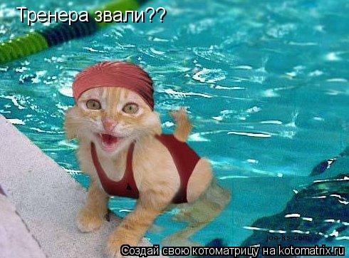 Котоматрица: Тренера звали??
