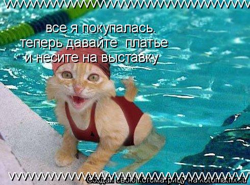 Котоматрица: все я покупалась. теперь давайте  платье и несите на выставку  vvvvvvvvvvvvvvvvvvvvvvvvvvvvvvvvvvvvvvv vvvvvvvvvvvvvvvvvvvvvvvvvvvvvvvvvvvvvvv