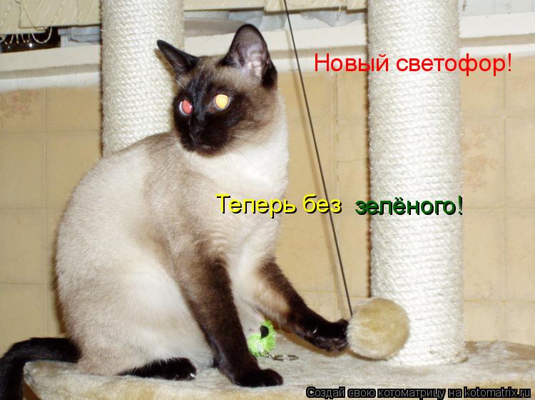 Котоматрица: Новый светофор! Теперь без зелёного!