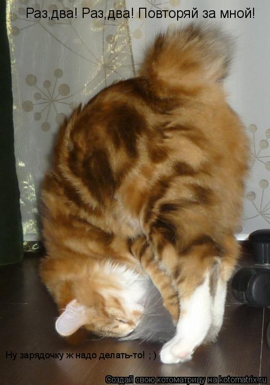 Раз,два! Раз,два! Повторяй за мной! Ну зарядочку ж надо делать-то! ; )... Котоматрица: Раз,два! Раз,два! Повторяй за мной! Ну зарядочку ж надо делать-то! ; )