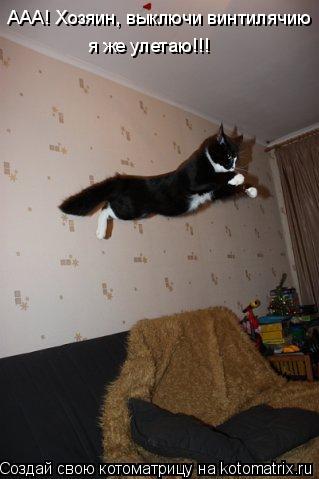 ААА! Хозяин, выключи винтилячию я же улетаю!!!... Котоматрица: ААА! Хозяин, выключи винтилячию я же улетаю!!!