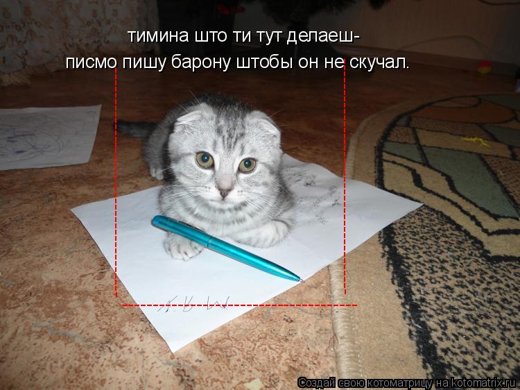 тимина што ти тут делаеш- писмо пишу барону штобы он не скучал. ------------------------------------... Котоматрица: тимина што ти тут делаеш- писмо пишу барону штобы он не скучал. -------------------------------------- ------------------------------------- --------