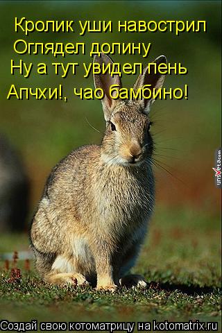 Кролик уши навострил Оглядел долину Ну а тут увидел пень Апчхи!, чао бамбино!... Котоматрица: Кролик уши навострил Оглядел долину Ну а тут увидел пень Апчхи!, чао бамбино!
