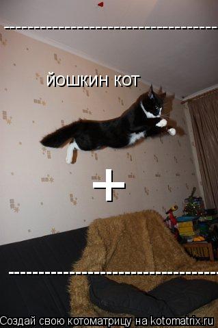 йошкин кот ------------------------------------- ------------------------------------- --------------... Котоматрица: йошкин кот ------------------------------------- ------------------------------------- ------------------------------------- +