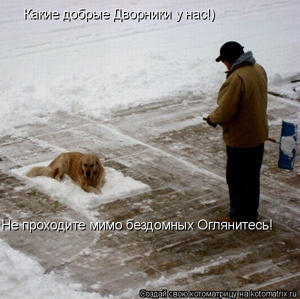 Какие добрые Дворники у нас!) Не проходите мимо бездомных Оглянитесь!... Котоматрица: Какие добрые Дворники у нас!) Не проходите мимо бездомных Оглянитесь!