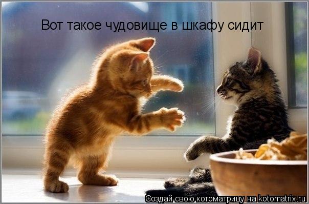 Вот такое чудовище в шкафу сидит... Котоматрица: Вот такое чудовище в шкафу сидит