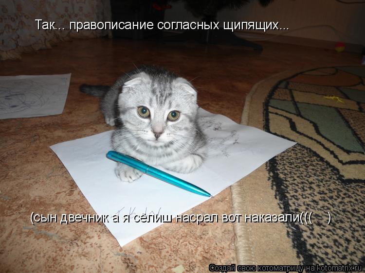 Так... правописание согласных щипящих... (сын двечник а я сёлиш насрал вот наказали((( )... Котоматрица: Так... правописание согласных щипящих... (сын двечник а я сёлиш насрал вот наказали((( )