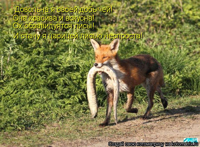 Довольна я своей добычей! Она красива и вскусна! Ох обзавидуятся лисы! И стану я царицей лисью неспр... Котоматрица: Довольна я своей добычей! Она красива и вскусна! Ох обзавидуятся лисы! И стану я царицей лисью неспроста!