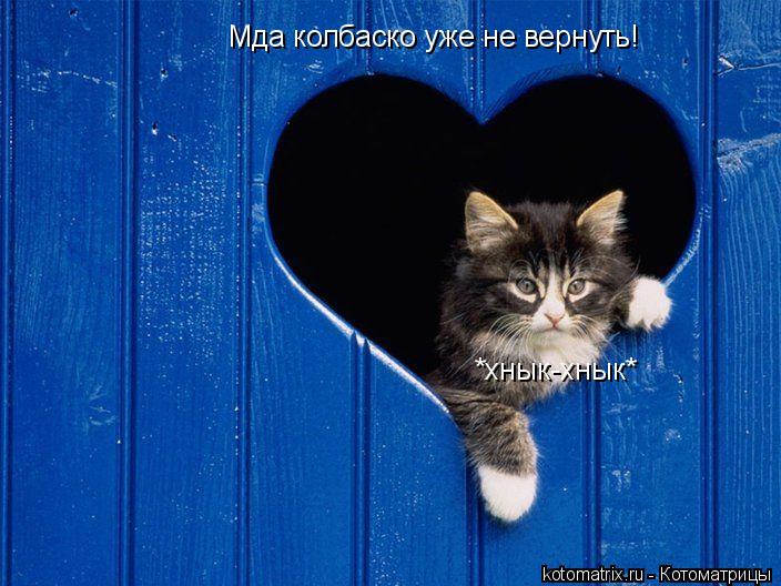 Мда колбаско уже не вернуть! *хнык-хнык*... Котоматрица: Мда колбаско уже не вернуть! *хнык-хнык*