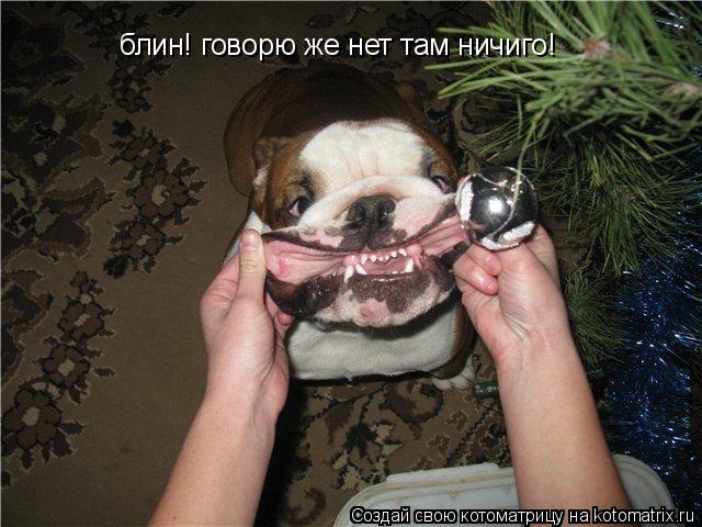 Котоматрица: блин! говорю же нет там ничиго!