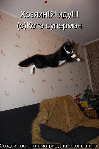 Котоматрица: Хозяин!Я иду!!! (с)Котэ супермэн