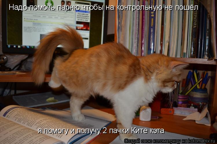 Котоматрица: Надо помочь парню чтобы на контрольную не пошёл я помогу и получу 2 пачки Ките кэта