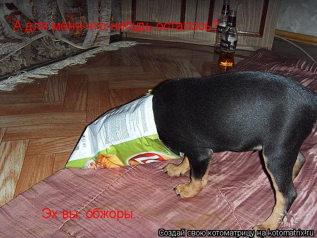 Котоматрица: А для меня что-нибудь осталось? Эх вы, обжоры...