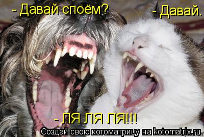 Котоматрица: - Давай споём? - Давай. - ЛЯ ЛЯ ЛЯ!!!