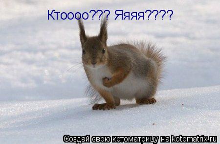 Котоматрица: Ктоооо??? Яяяя????