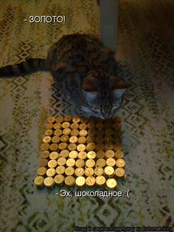 Котоматрица: - ЗОЛОТО! - Эх, шоколадное :(