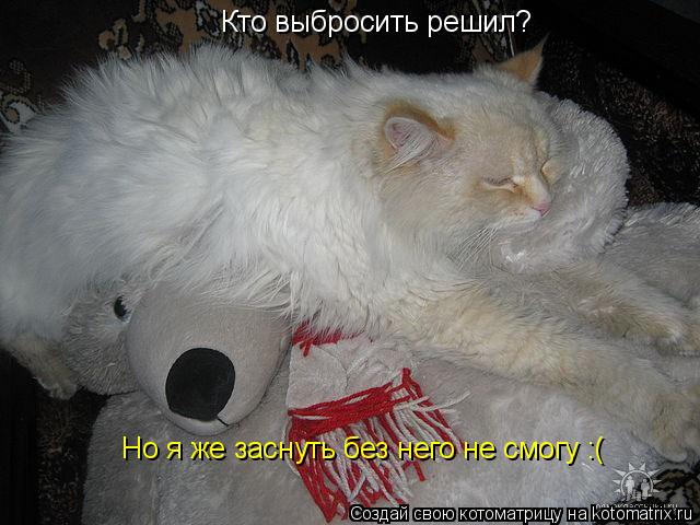 Котоматрица: Кто выбросить решил? Но я же заснуть без него не смогу :(