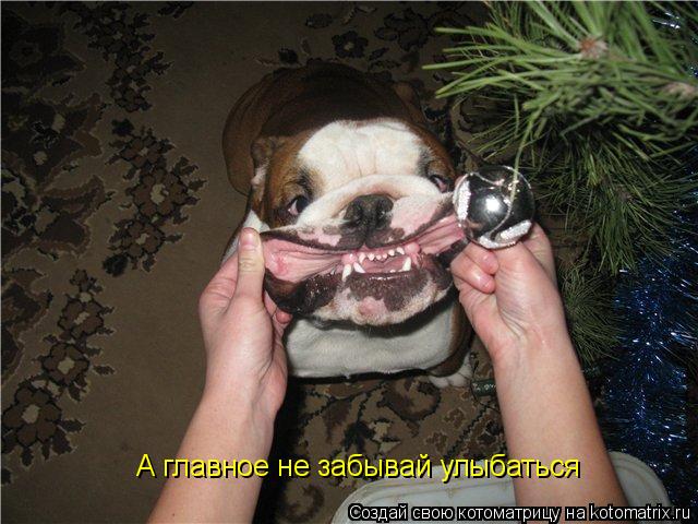Котоматрица: А главное не забывай улыбаться