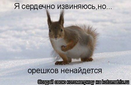 Котоматрица: Я сердечно извиняюсь,но... орешков ненайдется