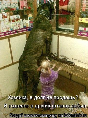 Котоматрица: Хозяйка, в долг не продашь?  Я кошелёк в других штанах забыл.