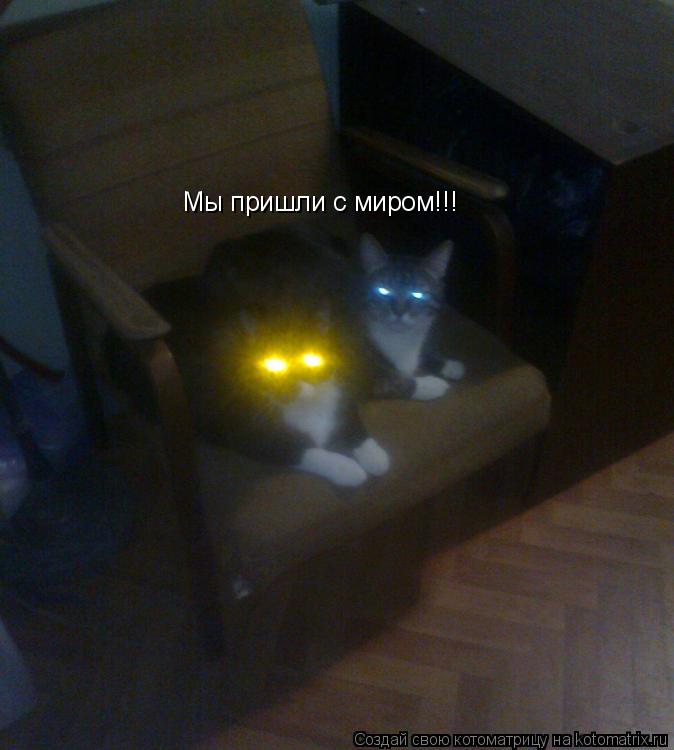 Котоматрица: Мы пришли с миром!!!