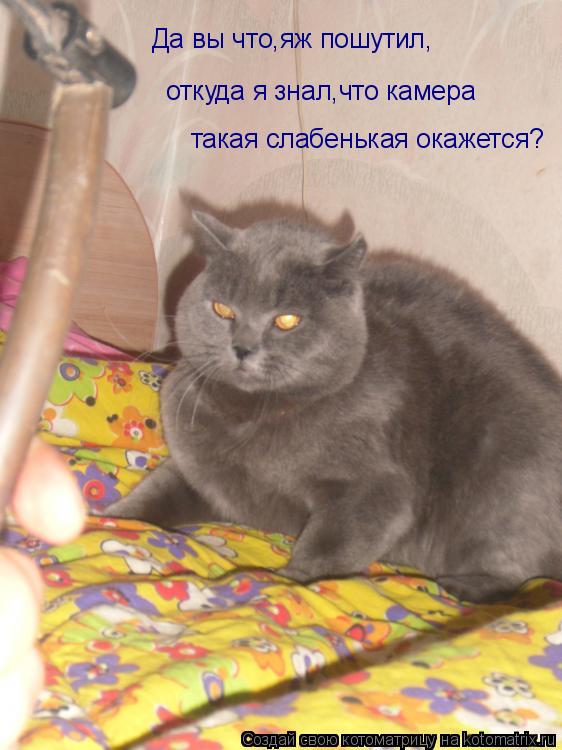 Котоматрица: Да вы что,яж пошутил, откуда я знал,что камера такая слабенькая окажется?