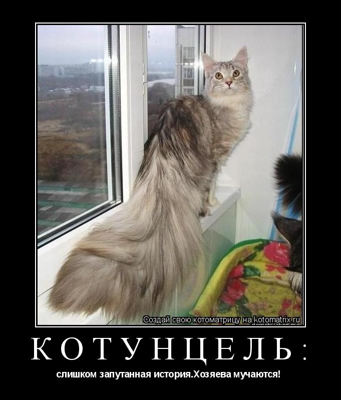 Котунцель: слишком запутанная история.Хозяева мучаются! ... Котоматрица: Котунцель: слишком запутанная история.Хозяева мучаются!