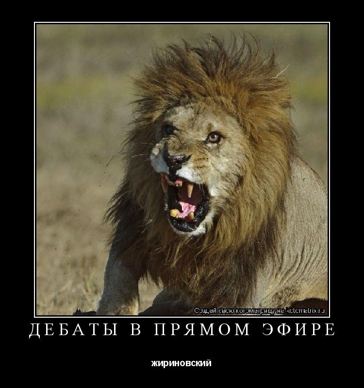 дебаты в прямом эфире жириновский... Котоматрица: дебаты в прямом эфире жириновский
