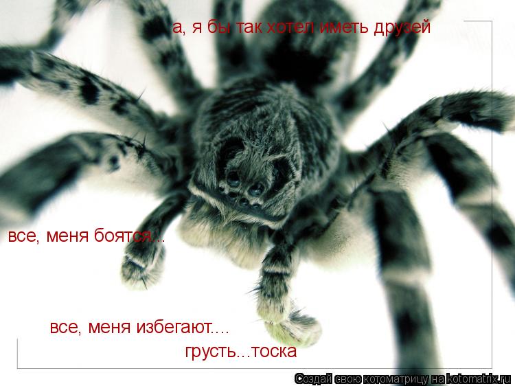 Котоматрица: все, меня боятся... все, меня избегают.... грусть...тоска а, я бы так хотел иметь друзей