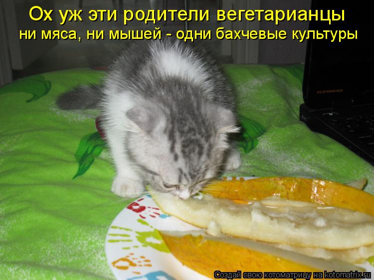 Котоматрица: Ох уж эти родители вегетарианцы ни мяса, ни мышей - одни бахчевые культуры