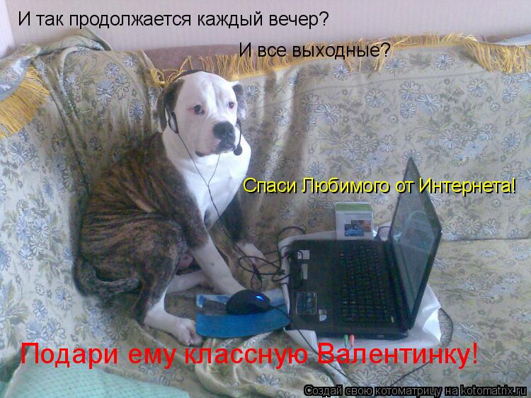 Котоматрица: И так продолжается каждый вечер? И все выходные? Спаси Любимого от Интернета! Подари ему классную Валентинку!