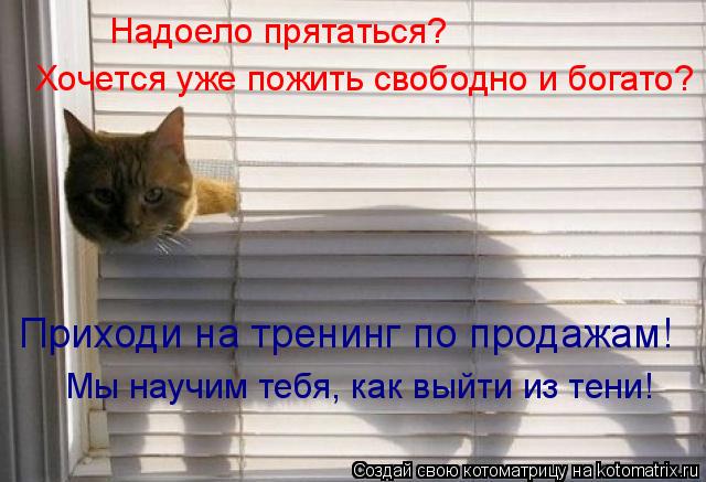 Котоматрица: Надоело прятаться? Хочется уже пожить свободно и богато? Приходи на тренинг по продажам! Мы научим тебя, как выйти из тени!