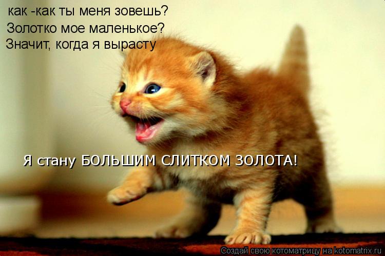 как -как ты меня зовешь? Золотко мое маленькое? Значит, когда я вырасту Я стану БОЛЬШИМ СЛИТКОМ ЗОЛОТ... Котоматрица: как -как ты меня зовешь? Золотко мое маленькое? Значит, когда я вырасту Я стану БОЛЬШИМ СЛИТКОМ ЗОЛОТА!