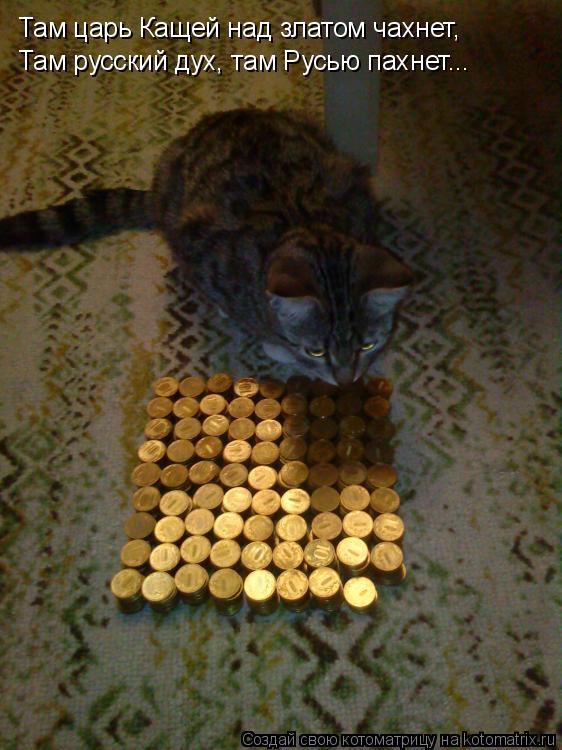 Котоматрица: Там царь Кащей над златом чахнет, Там русский дух, там Русью пахнет...