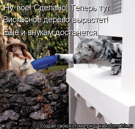 Котоматрица: Ну, всё! Сделано! Теперь тут Вискасное дерево вырастет! Ещё и внукам достанется.